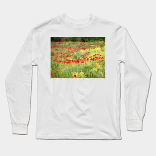 Roadside Glory Long Sleeve T-Shirt